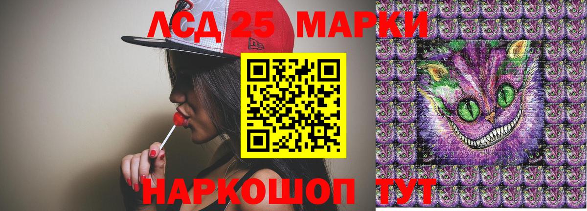 Кировск  дарнет шоп  Вход с VPN  Наркотические марки 1500мкг  Наркотические марки 1500мкг 
