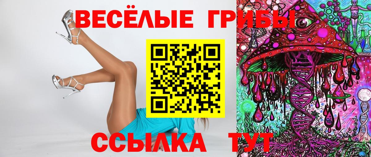 Псилоцибиновые грибы прущие грибы  Вход с VPN  закладка  Кировск 