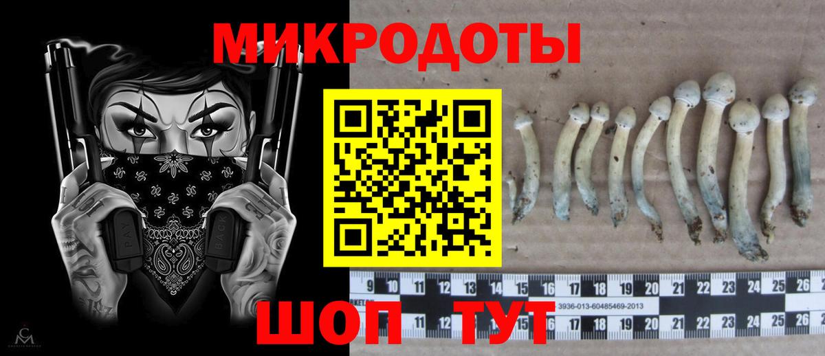 Галлюциногенные грибы мухоморы Кировск